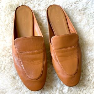 EVERLANE The Day Loafer Mule 9.5